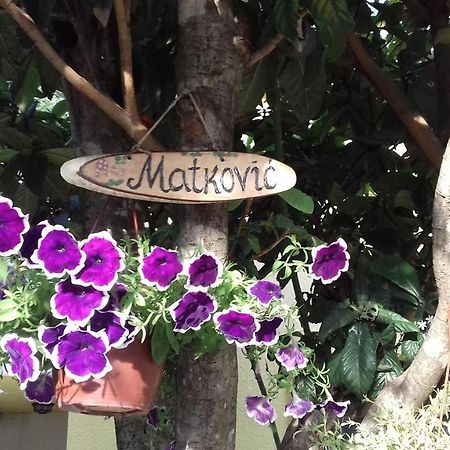 Apartments Matkovic Kotor Kültér fotó