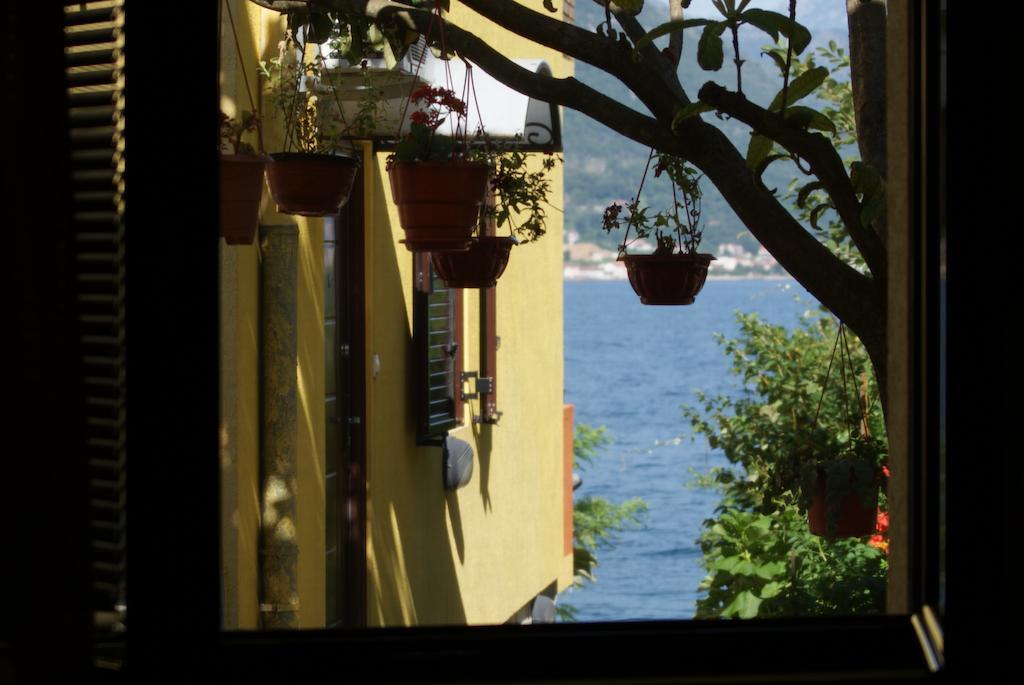 Apartments Matkovic Kotor Szoba fotó