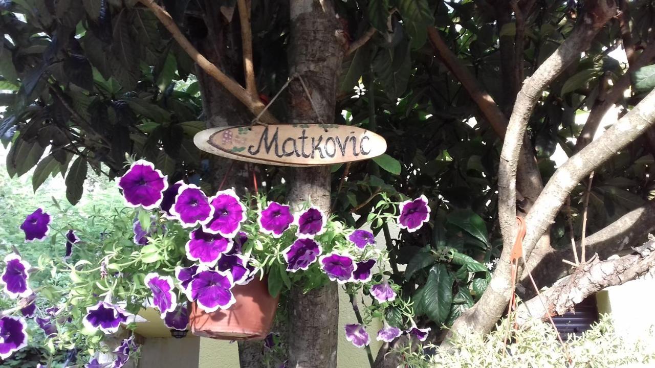 Apartments Matkovic Kotor Kültér fotó
