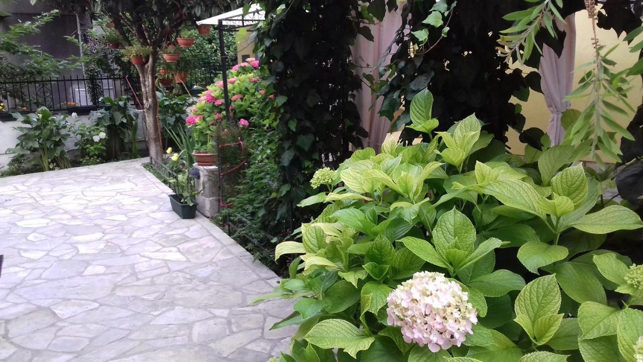 Apartments Matkovic Kotor Kültér fotó