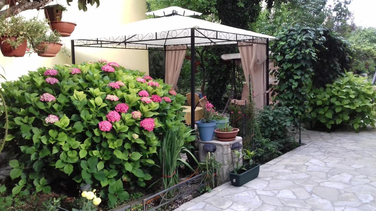 Apartments Matkovic Kotor Kültér fotó