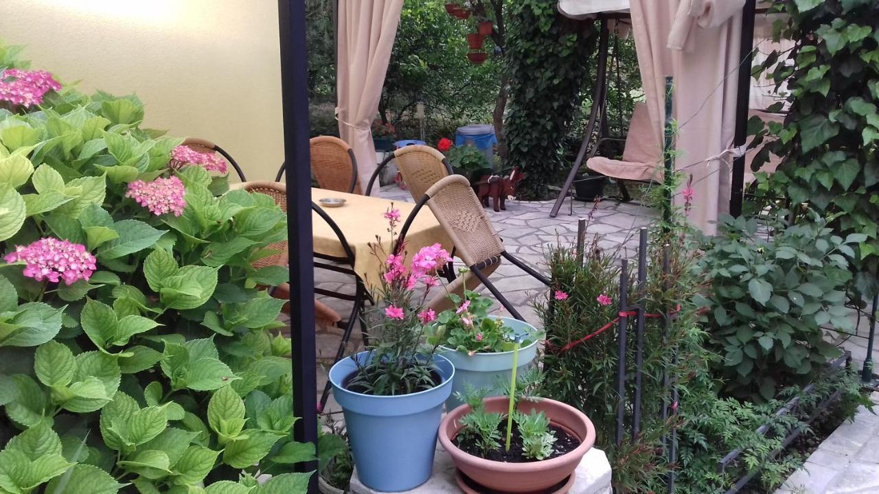 Apartments Matkovic Kotor Kültér fotó